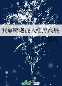 我靠嘴炮混入红黑高层118