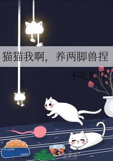 猫猫我啊养两脚兽捏