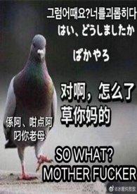 合家欢喜