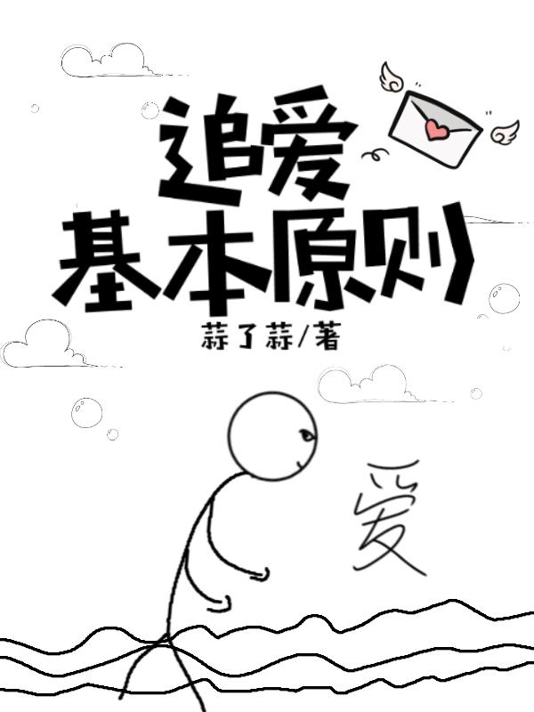 追爱是啥意思