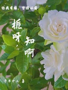 栀这个字念啥?