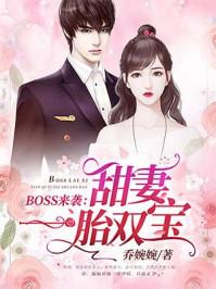 boss来袭甜妻一胎二宝