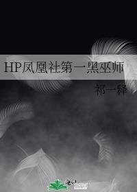 hp黑凤凰