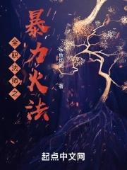 全职法师火系魔法大全