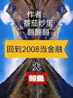 回到2008txt