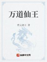 万道仙师百科