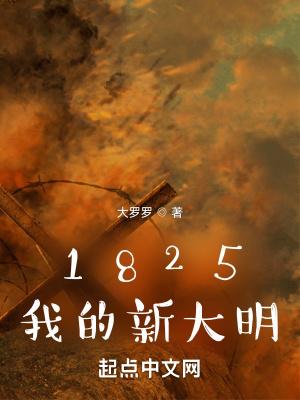 1825我的新大明 txt 精校