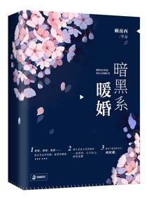 暗黑系暖婚漫画免费观看六漫画