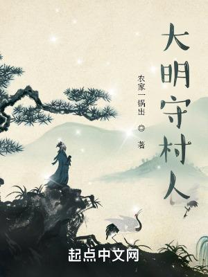 大明守村人无防盗