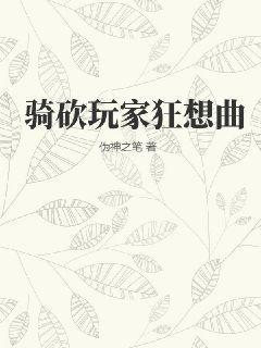 骑砍玩家是什么意思