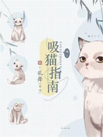 什么是吸猫 吸猫是什么意思