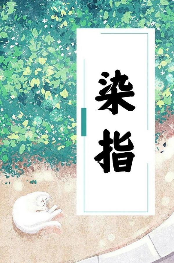 染指甲的花叫什么名字